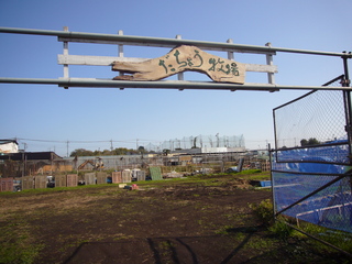 P1000526.JPG