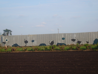 P1000857.JPG