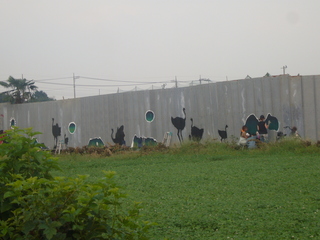 P1000859.JPG
